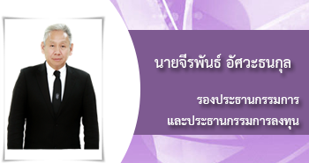 นายจีรพันธ์ อัศวะธนกุล, รองประธานกรรมการและประธานกรรมการลงทุน