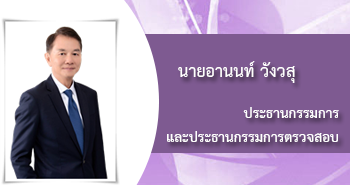 นายอานนท์ วังวสุ, ประธานกรรมการและประธานกรรมการตรวจสอบ